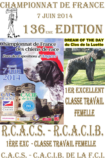 DREAM Du Clos de La Luette 1ere EXCELLENT en CLASSE TRAVAIL CHAMPIONNAT DE FRANCE 2014